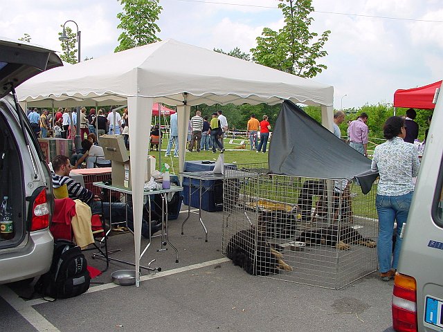 Immagine 010.jpg